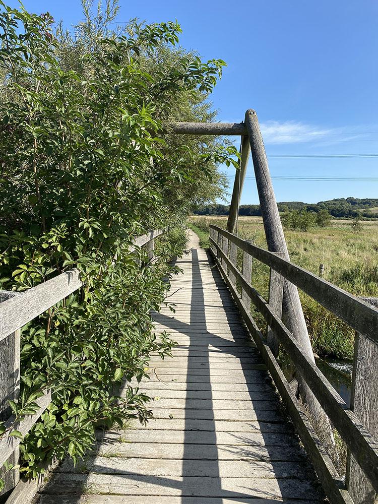 Årslev engsø i Aarhus