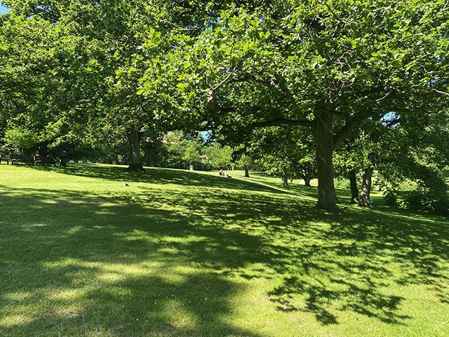 Universitetsparken i Århus