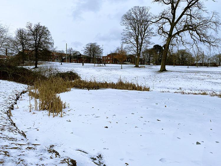 Vinter i Vennelystparken i Århus