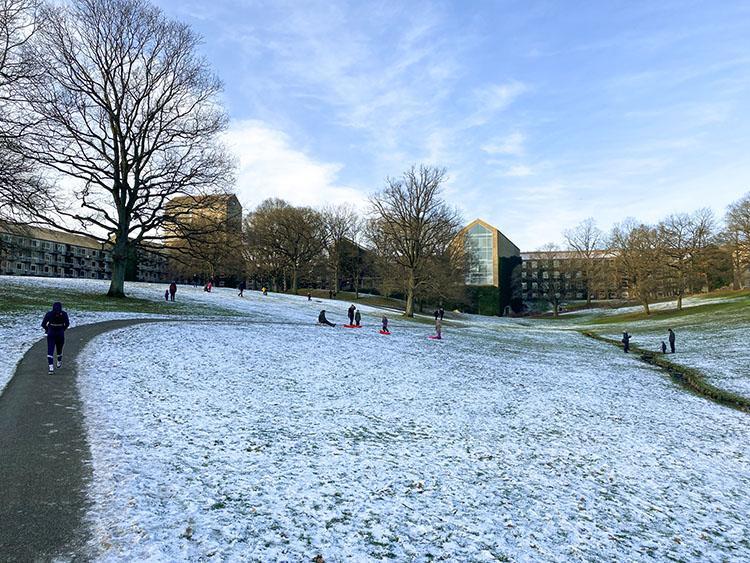 Universitetsparken i Århus
