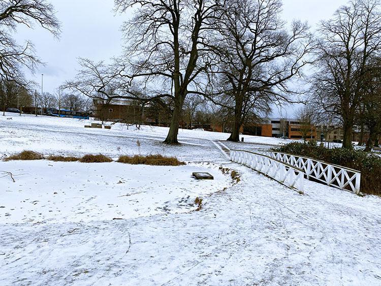 Vennelystparken à Aarhus