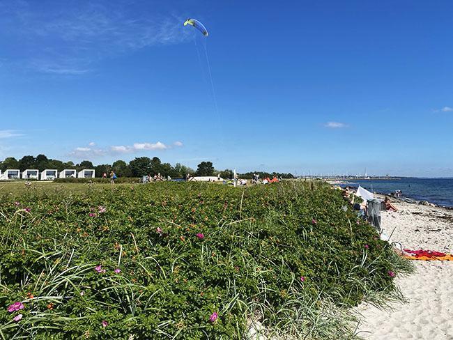 Åkrogen strandpark