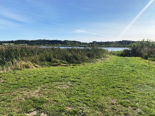 Årslev Engsø