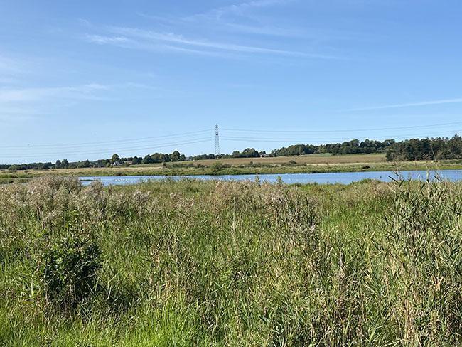 Årslev Engsø