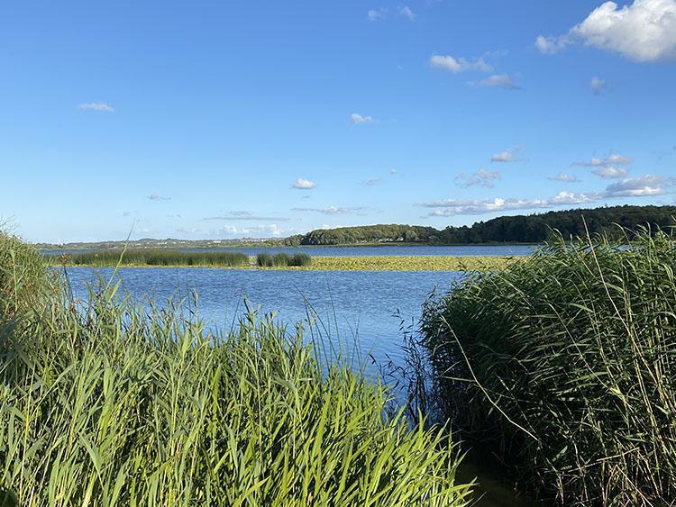 Brabrand sø i Aarhus