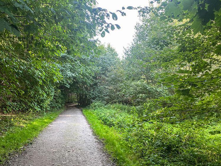 Årslev Engsø