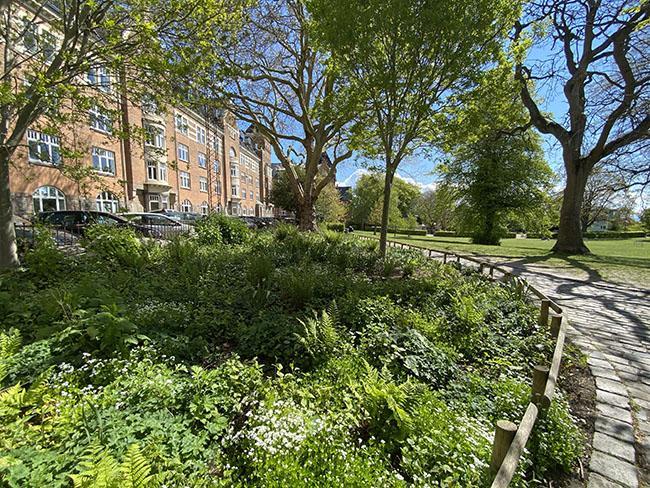 Skanseparken på Frederiksbjerg