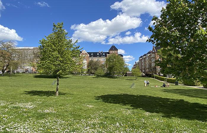 Skanseparken på Frederiksbjerg