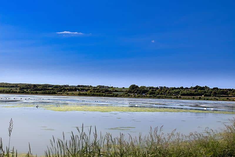 Egå Engsø