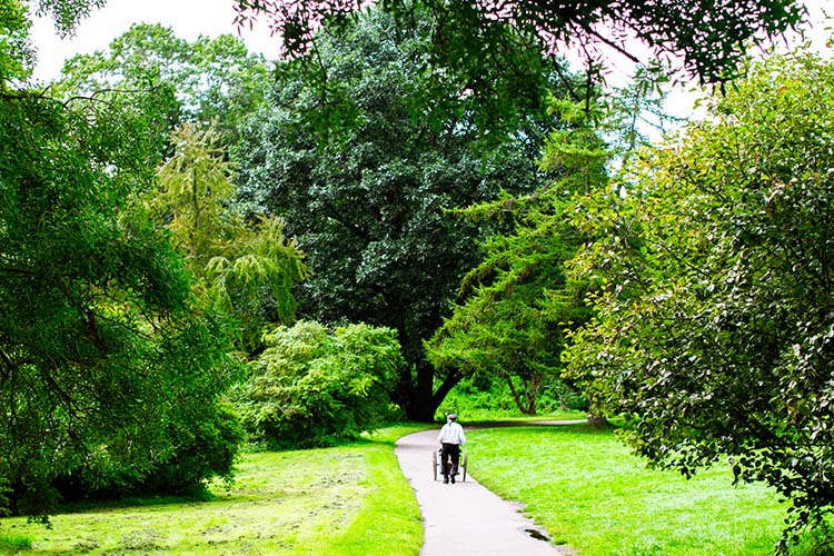 Botanisk have århus