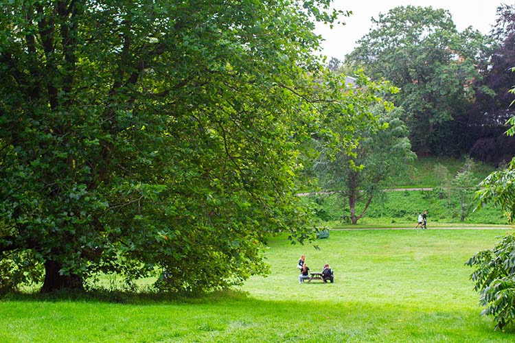 Botanisk have århus