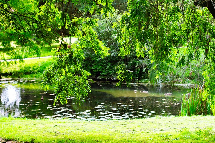 Botanisk have århus