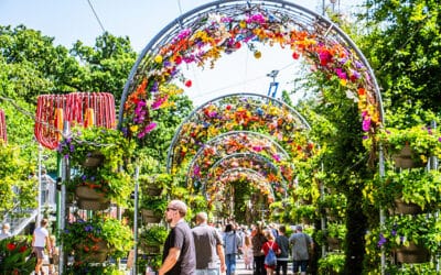 Blomsterfestival 2024 – Kom og oplev en blomsterfest, du ikke vil glemme