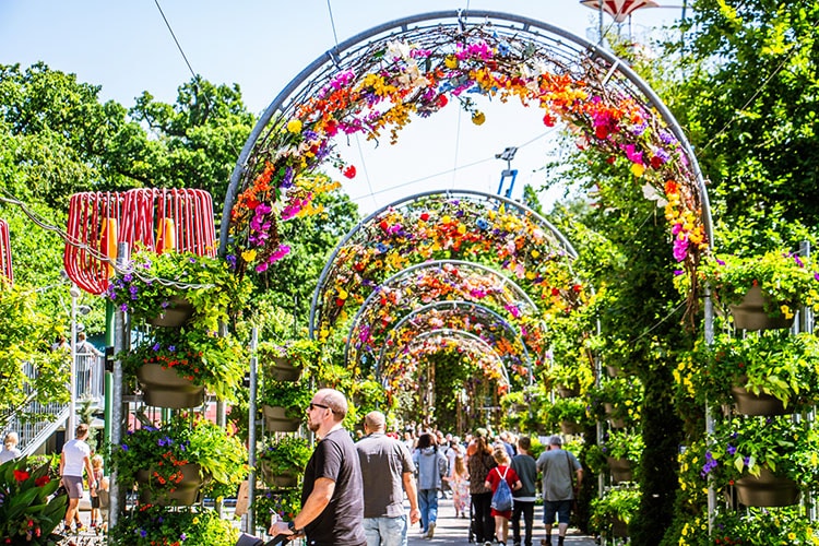 Blomsterfestival 2024 Tivoli Friheden