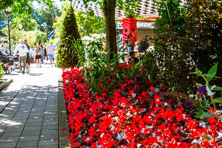 Blomsterfestival 2024 Tivoli Friheden