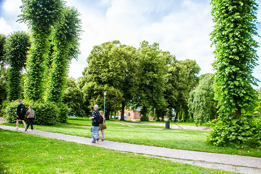 Rådhusparken