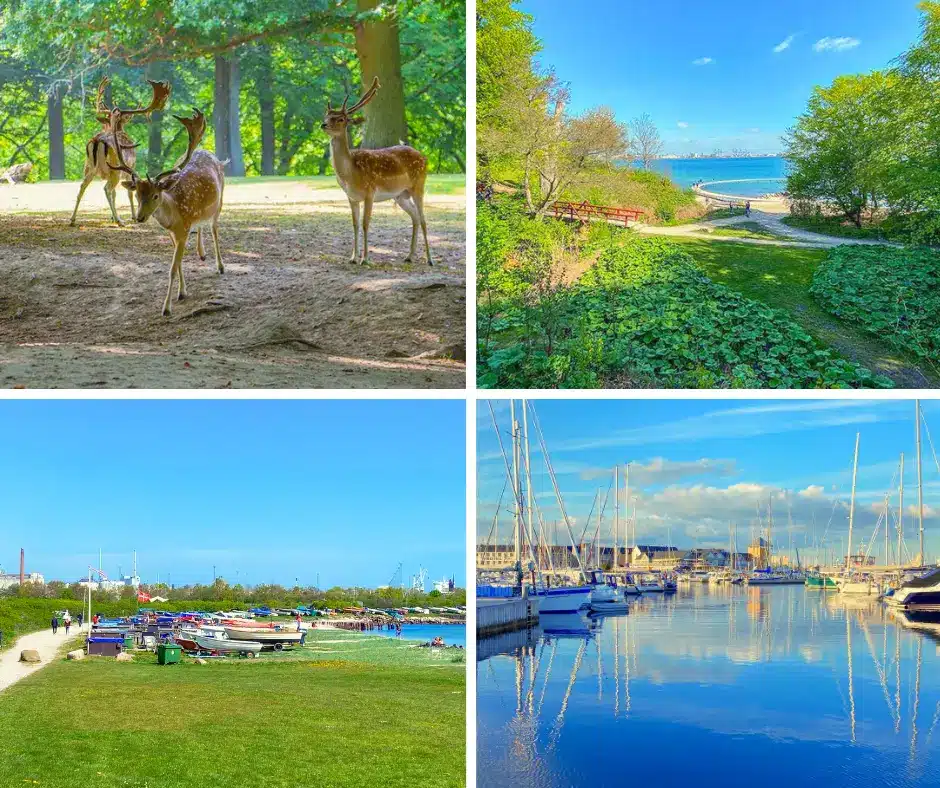 Tour 3 - Tour De Aarhus – 10 udendørs oplevelsesture rundt i byen