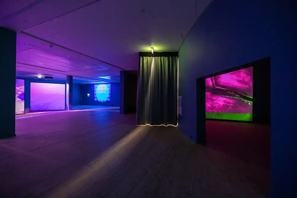 Igshaan Adams – Weerhoud - ARoS