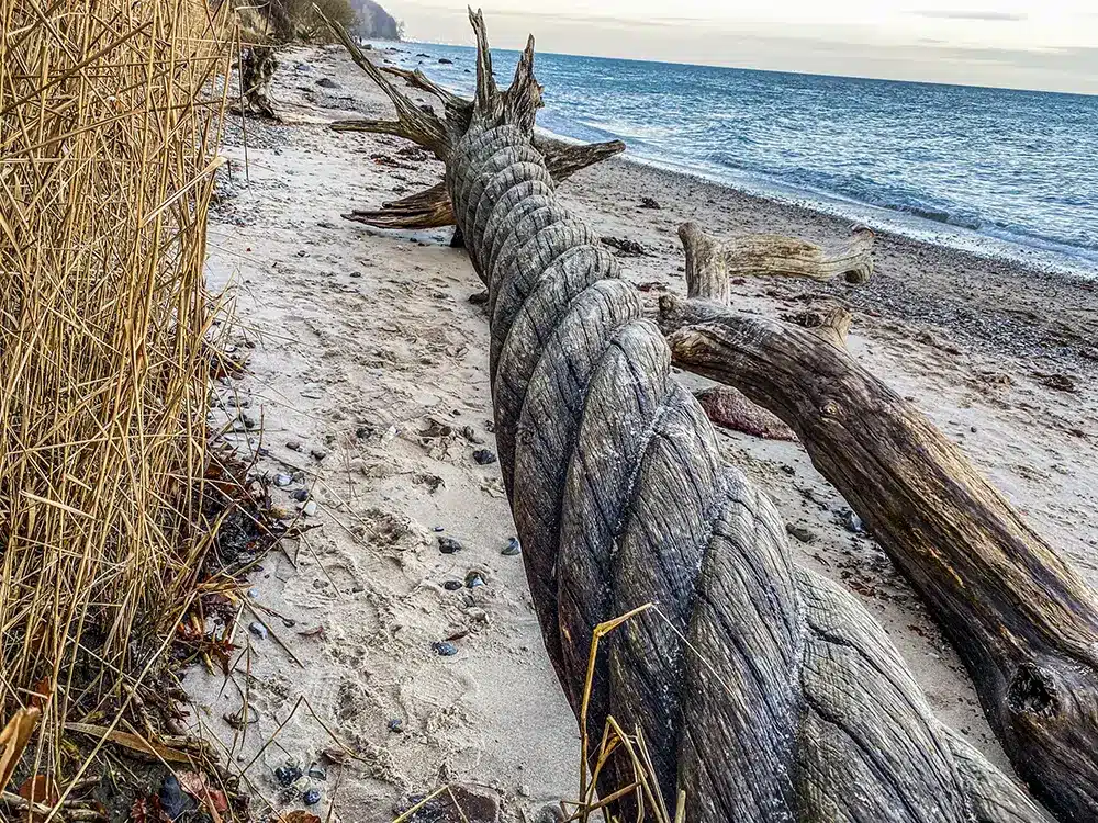 Oplev syden ved de østjyske strande_2076