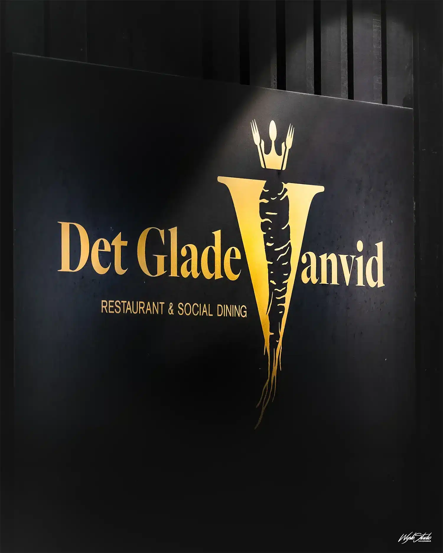 Det Glade Vanvid logo