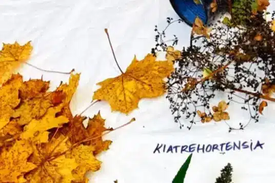 Ecoprint – skab naturlige tryk på stof og papir