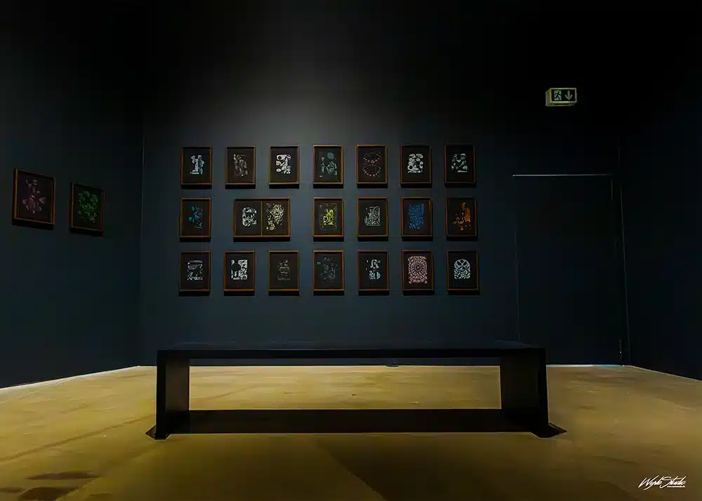 Alexander Tovborg - Paradis-serien - Foto Wyrle Studio