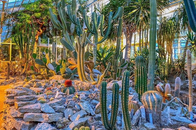 Væksthusene i Botanisk have Meta