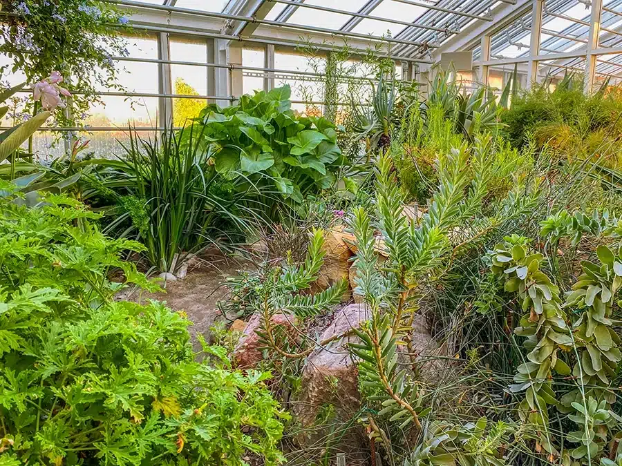 Væksthusene i Botanisk have_2989 Væksthusene