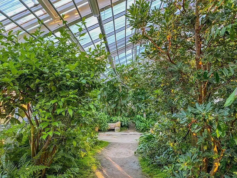 Væksthusene i Botanisk have_3012 Væksthusene
