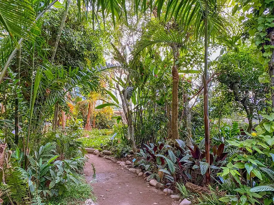 Væksthusene i Botanisk have