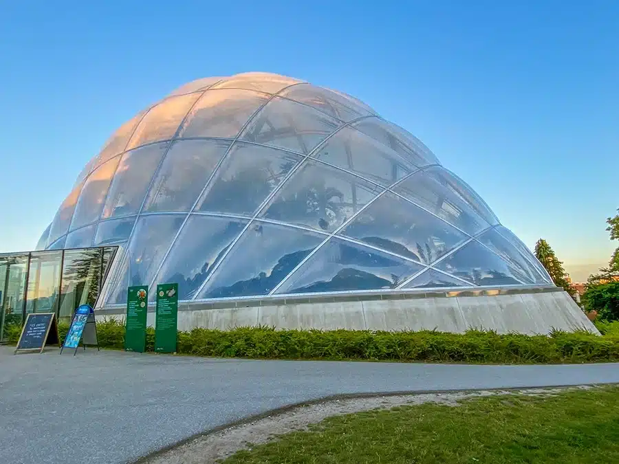 Væksthusene i Botanisk have_3102 Væksthusene