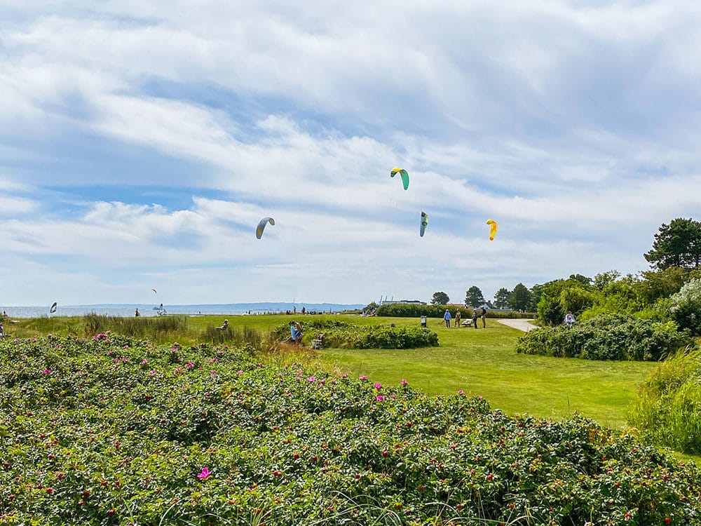 Åkrogen strand meta