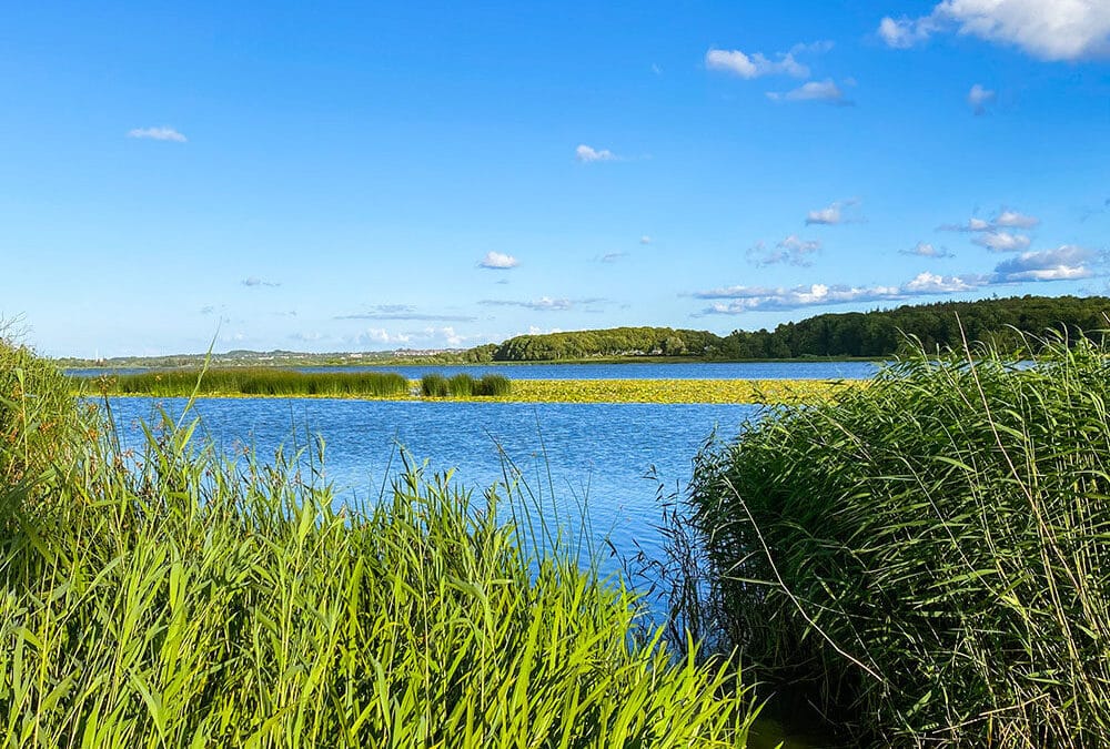 Brabrand sø