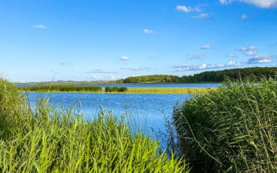 Brabrand sø