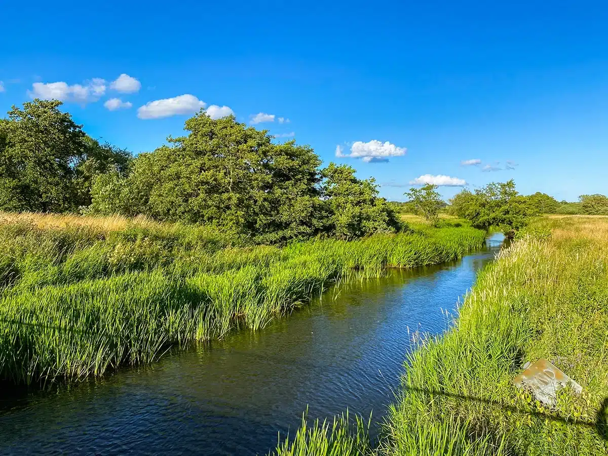 Brabrand sø - Aarhus å