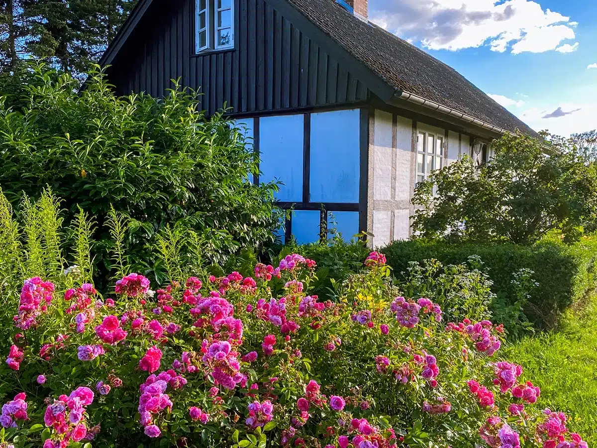 Brabrand sø - bondehus