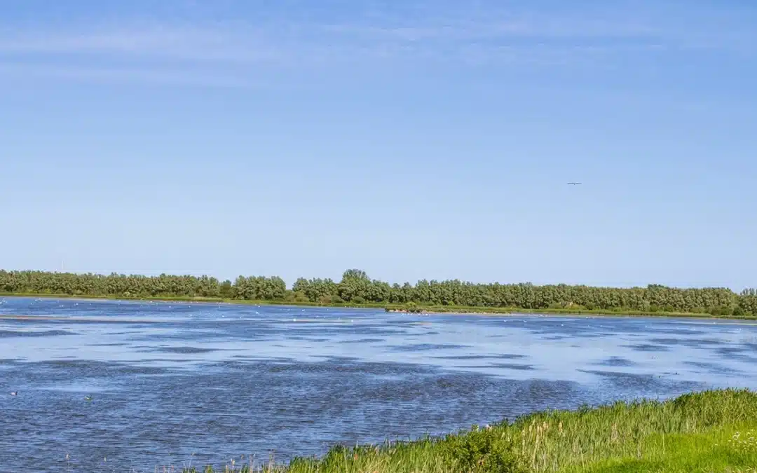 Egå Engsø