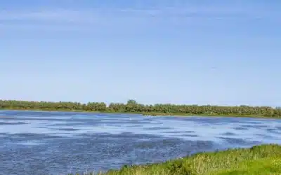 Egå Engsø