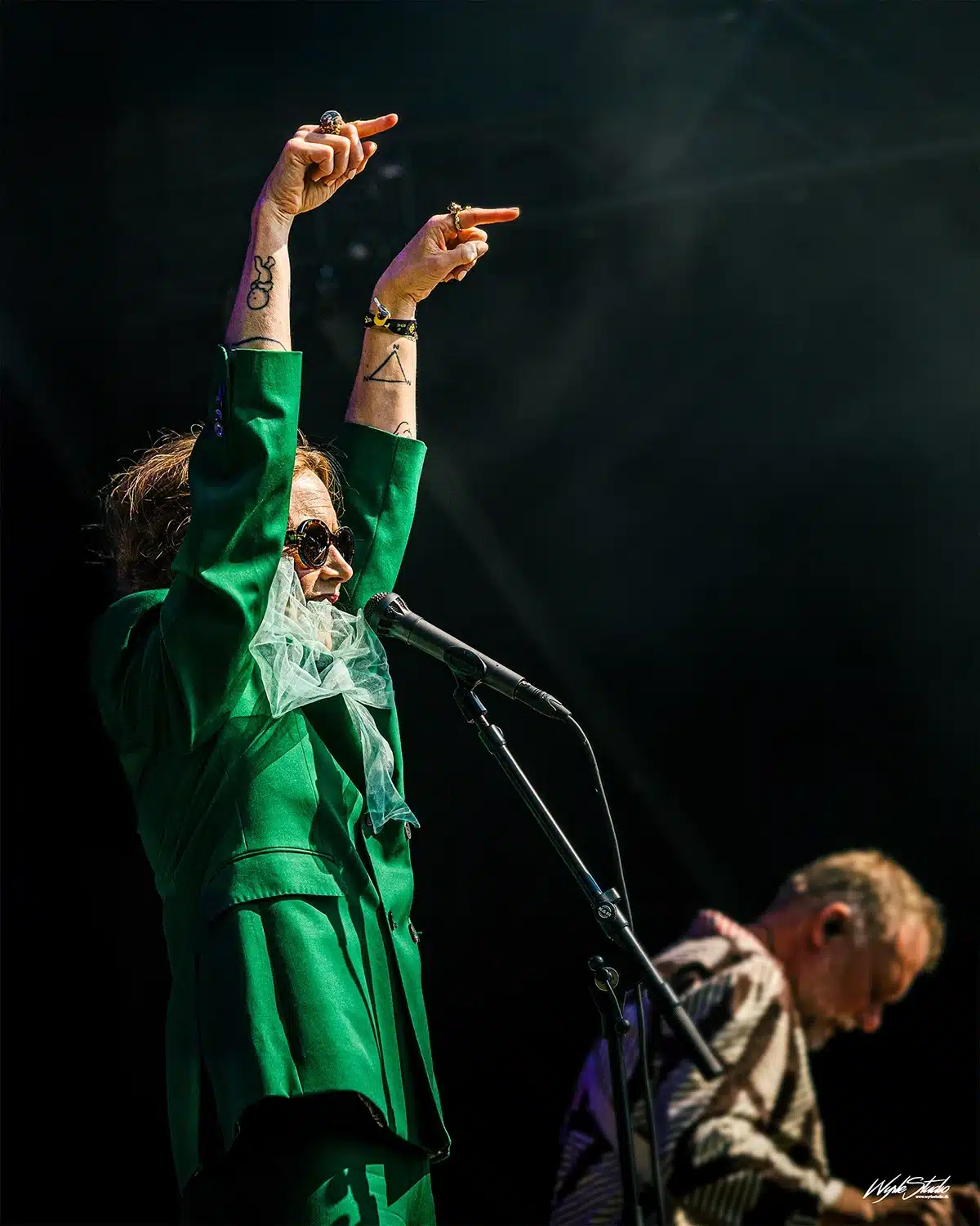 Forever Festival - The Cardigans