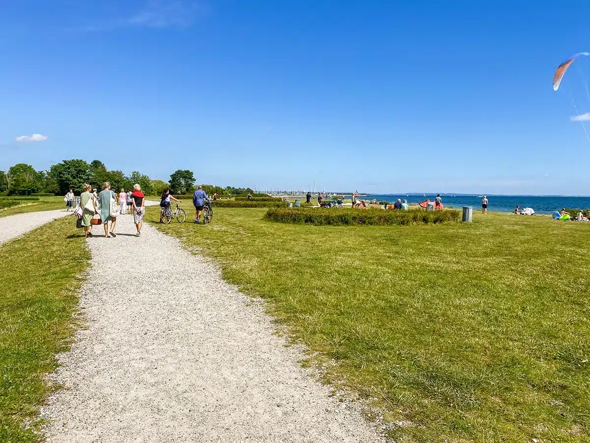 Stisystem gennem Åkrogen Strandparks grønne område