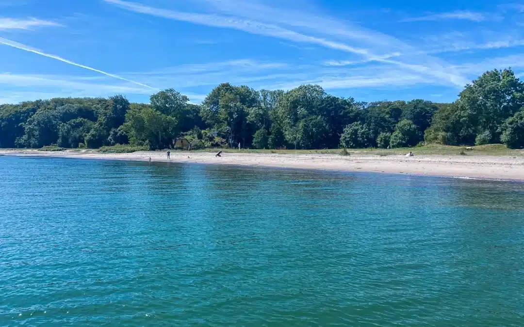 Moesgård strand