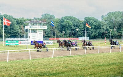 Jydsk Væddeløbsbane – stemning, tempo og tid sammen i det fri