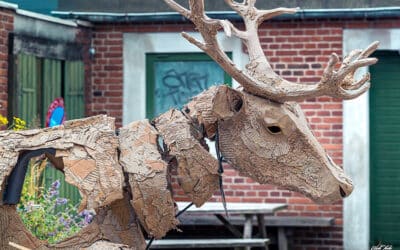 Når dyrene kommer til byen – The Herds rammer Aarhus med sanselig klimafortælling