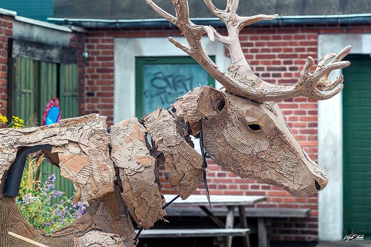 Når dyrene kommer til byen – The Herds rammer Aarhus med sanselig klimafortælling