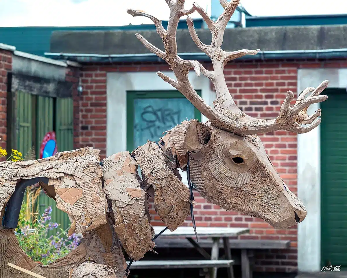 Rensdyret fra The Herds