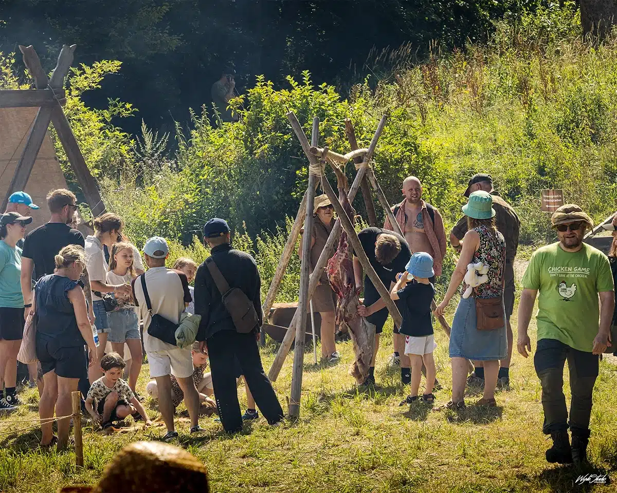 Vikingedage - Gæster ser flåning af hjort - Foto Wyrle Studio