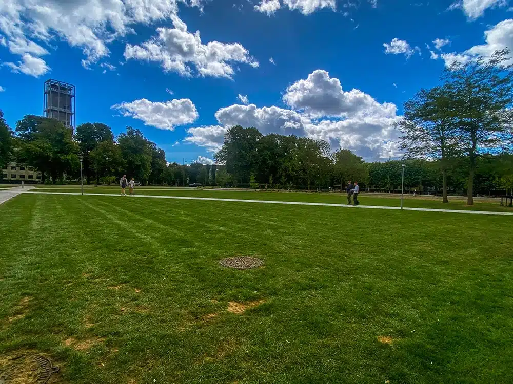 Åbent græsareal i Musikhusparken Aarhus