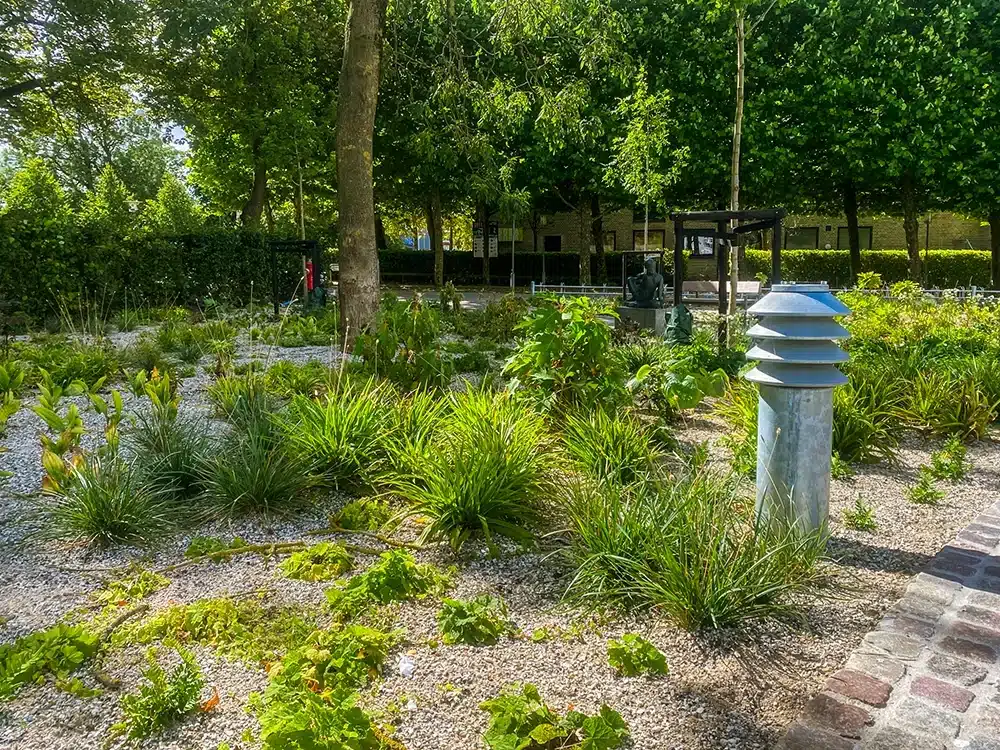 Beplantning og stier i Musikhusparken Aarhus