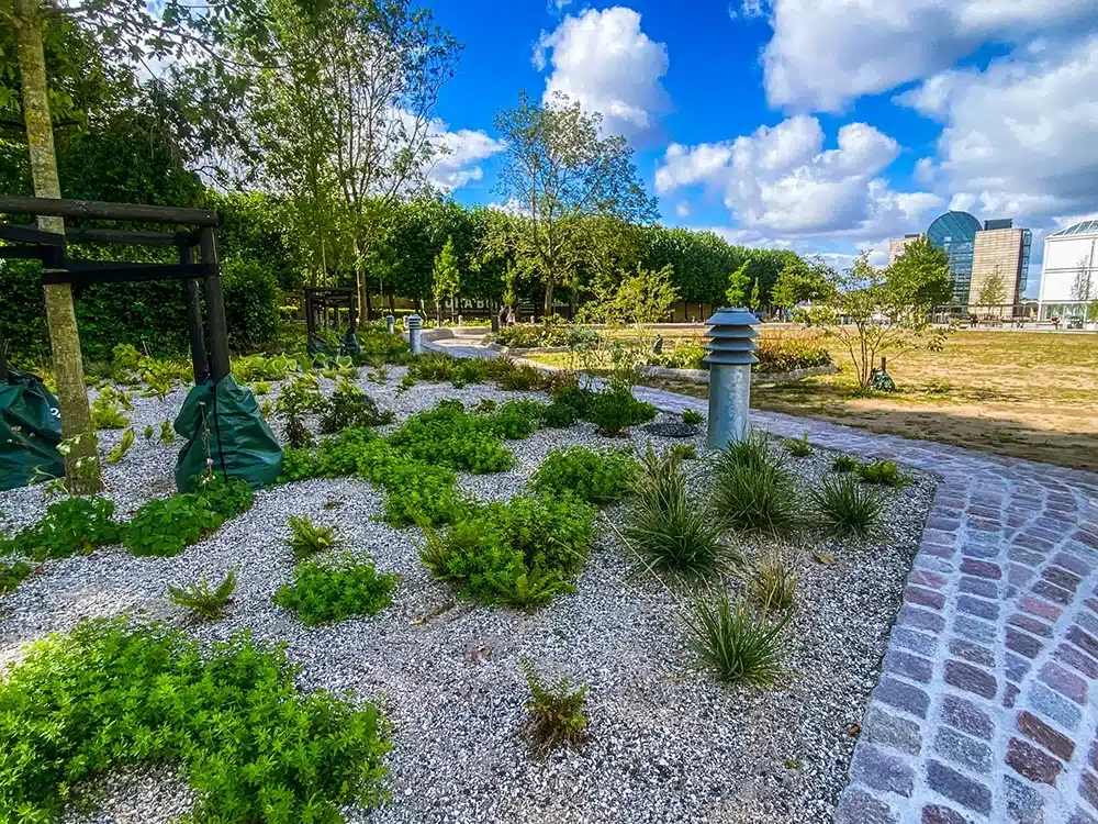 Grønne bede og træer i Musikhusparken Aarhus