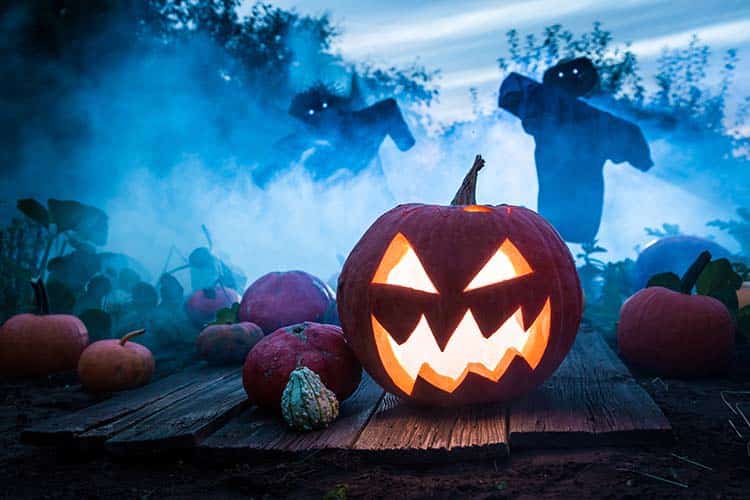 Djurs Sommerland Halloween uge - Envato billede